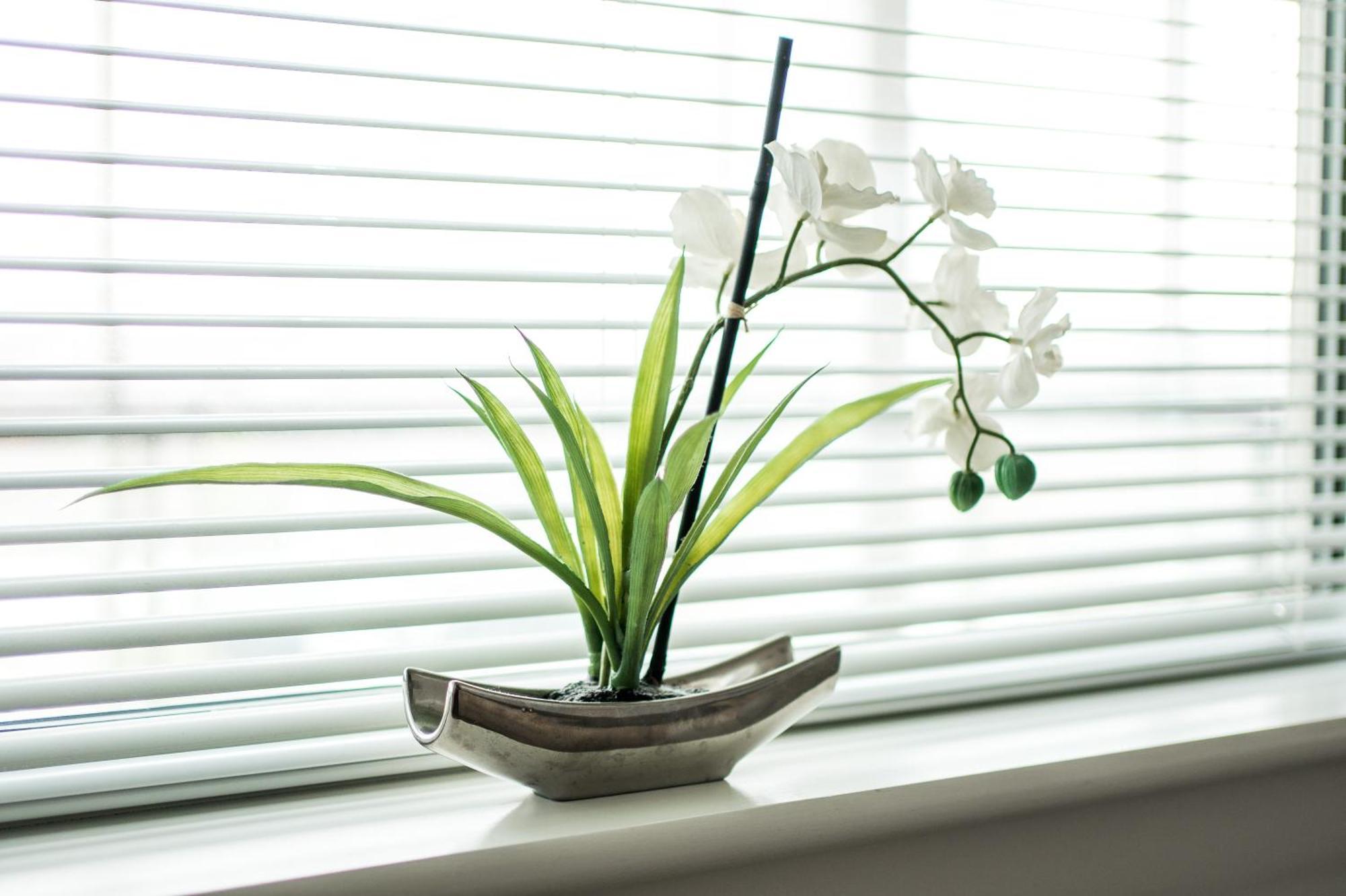Canning Town -2 Bed Luxury Apartment London Eksteriør bilde
